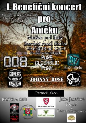 koncert Anicka